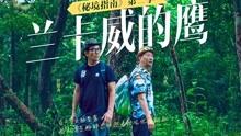 株洲4名女子被“男友”骗了120万元！